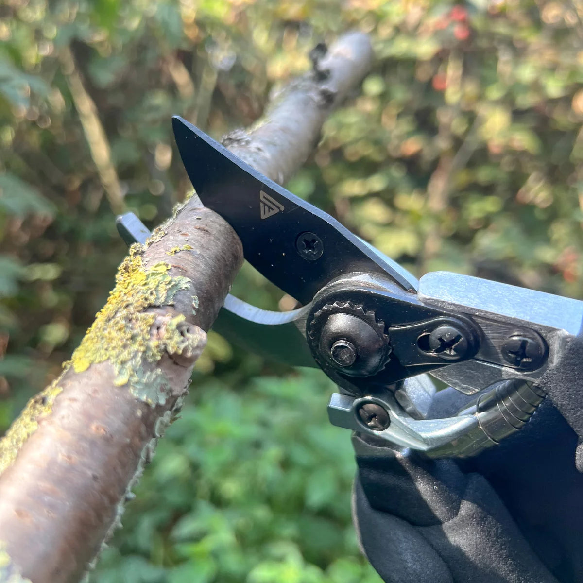 STAHLWERK garden scissors made of spring steel rose scissors | Vine shears | Gardening scissors | Bypass scissors | Plant scissors | Flower scissors | pruning shears