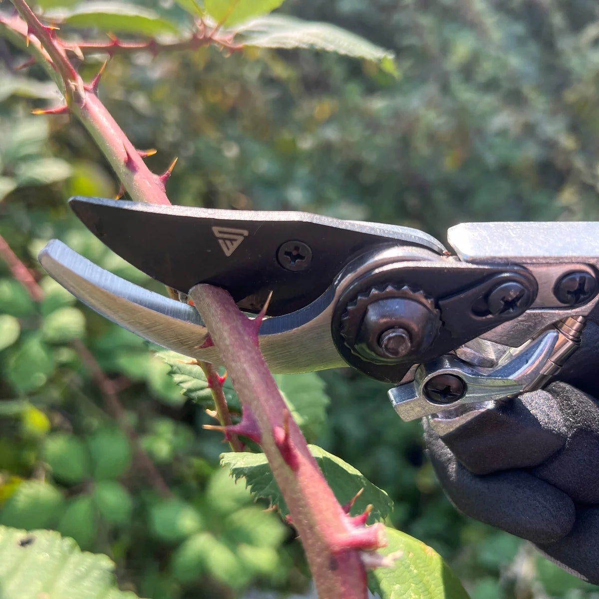 STAHLWERK garden scissors made of spring steel rose scissors | Vine shears | Gardening scissors | Bypass scissors | Plant scissors | Flower scissors | pruning shears