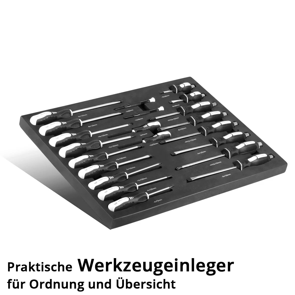 STAHLWERK Jeu de tournevis 21 pièces PH et SL avec insert en mousse | incrustation pour chariots d'atelier | Des outils de haute qualité dans un insert pour chariot à outils | Ordre parfait dans l'atelier