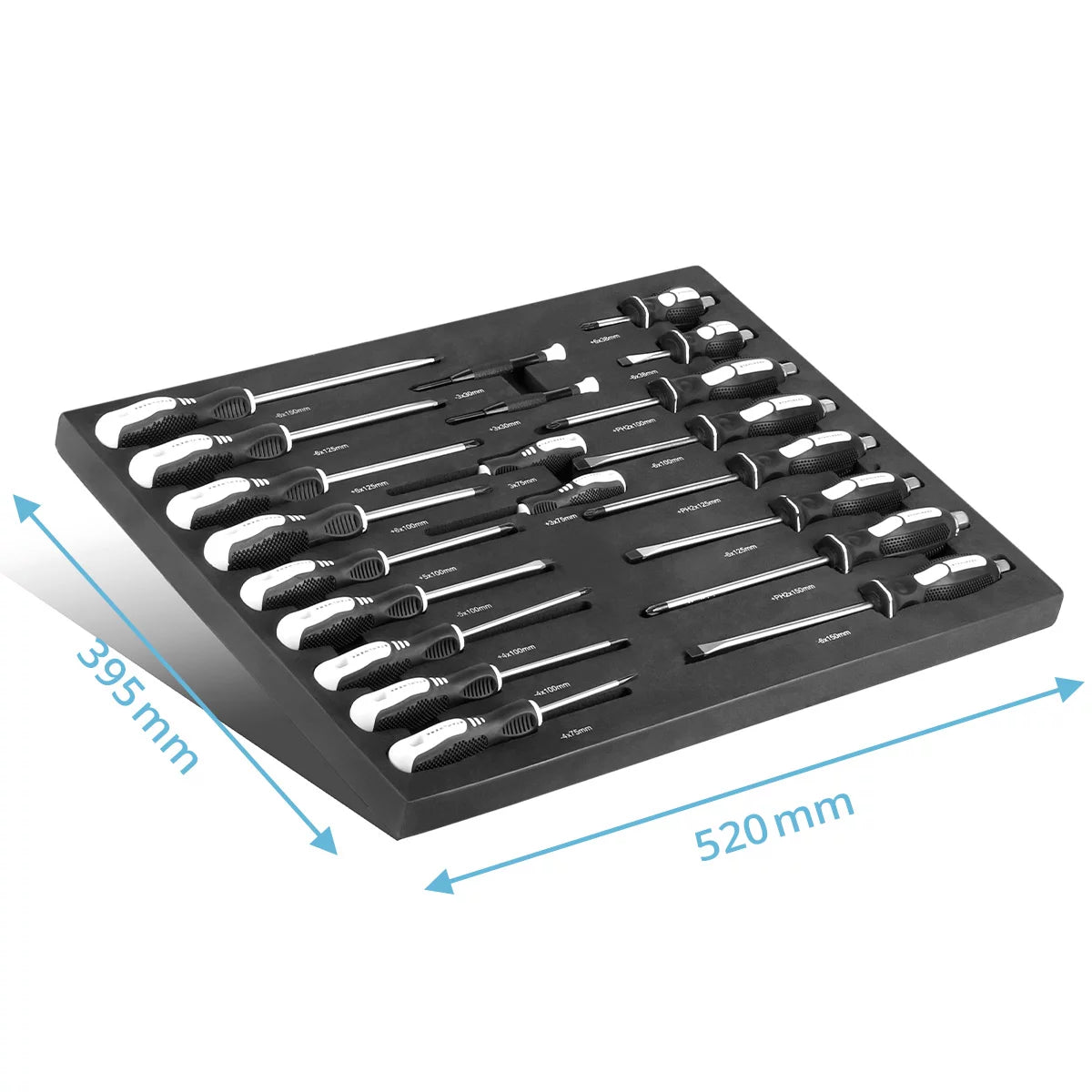 STAHLWERK Jeu de tournevis 21 pièces PH et SL avec insert en mousse | incrustation pour chariots d'atelier | Des outils de haute qualité dans un insert pour chariot à outils | Ordre parfait dans l'atelier
