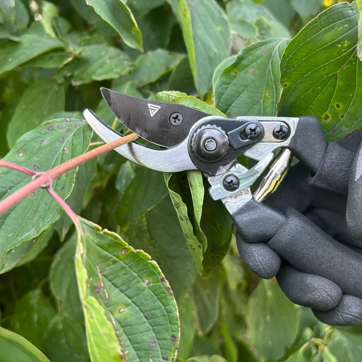 STAHLWERK garden scissors made of spring steel rose scissors | Vine shears | Gardening scissors | Bypass scissors | Plant scissors | Flower scissors | pruning shears